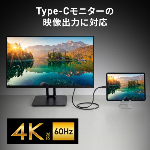 USB-C Type-Cケーブル（1m・PD100W・10Gbps・4K/60Hz映像出力・高速データ転送・ブラック）