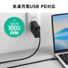 USB-C Type-Cケーブル（1m・PD100W・10Gbps・4K/60Hz映像出力・高速データ転送・ブラック）