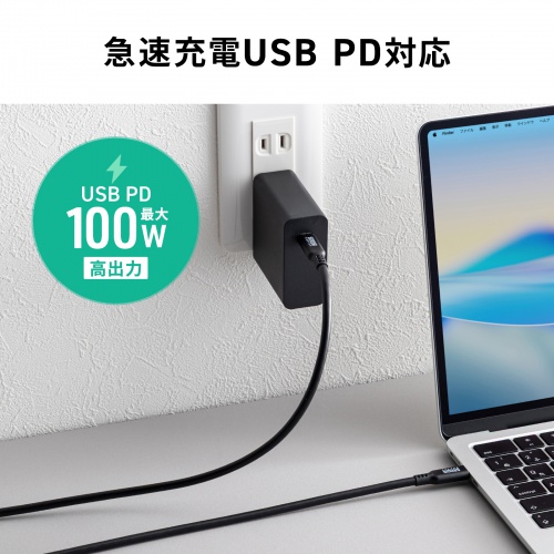 USB-C Type-Cケーブル（1m・PD100W・10Gbps・4K/60Hz映像出力・高速データ転送・ブラック）