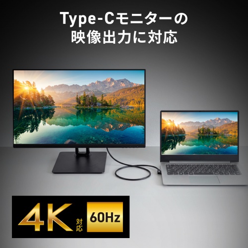 USB-C Type-Cケーブル(片側L字コネクタ・2m・PD100W・10Gbps・4K/60Hz映像出力・高速データ転送・ブラック)