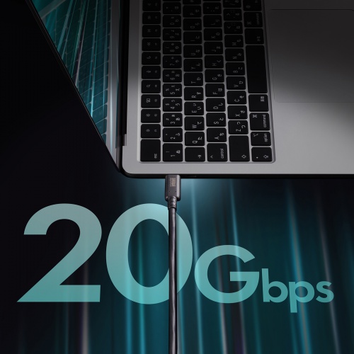 USB4 ケーブル（240W対応・2m・Type C・20Gbps・USB認証取得・ブラック） KU-20GCCPE20 サンワサプライ