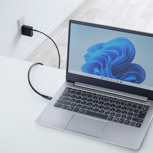 USB Type-Cケーブル（USB-Cケーブル・3m・PD100W・4K/60Hz映像出力・USB5Gbps・C-C・DP Alt Mode・電子黒板・ブラック）