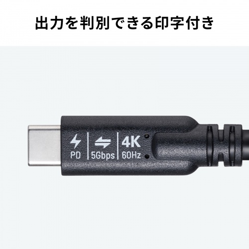 USB Type-Cケーブル（USB-Cケーブル・3m・PD100W・4K/60Hz映像出力・USB5Gbps・C-C・DP Alt Mode・電子黒板・ブラック）