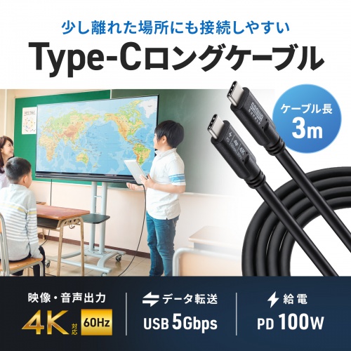 USB Type-Cケーブル（USB-Cケーブル・3m・PD100W・4K/60Hz映像出力・USB5Gbps・C-C・DP Alt Mode・電子黒板・ブラック）