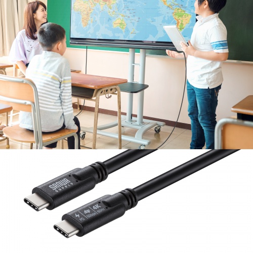 USB Type-Cケーブル（USB-Cケーブル・3m・PD100W・4K/60Hz映像出力・USB5Gbps・C-C・DP Alt Mode・電子黒板・ブラック）