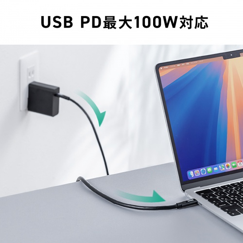USB Type-Cケーブル（USB-Cケーブル・3m・PD100W・4K/60Hz映像出力・USB5Gbps・C-C・DP Alt Mode・電子黒板・ブラック）
