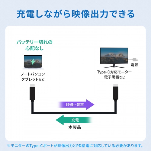 USB Type-Cケーブル（USB-Cケーブル・3m・PD100W・4K/60Hz映像出力・USB5Gbps・C-C・DP Alt Mode・電子黒板・ブラック）