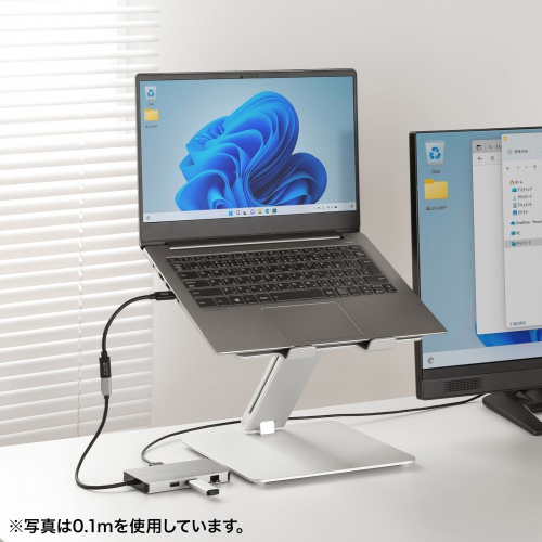 Type-C延長ケーブル（PD100W・Altモード対応・最大4K60hz対応・USB5Gbps（USB3.2 Gen1）・3重シールド構造・金メッキピン・約1m）