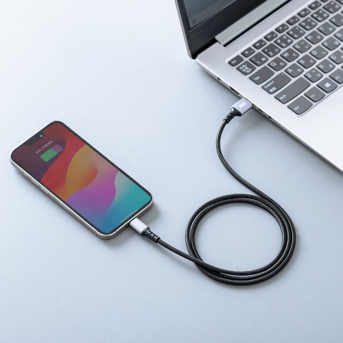 USB 2.0 Type-Cケーブル（C-A・ストレート・1m）