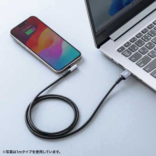 USB 2.0 Type-Cケーブル（C-A・L型・2m）