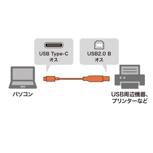USBケーブル（C-B・2m・タイプCケーブル・金メッキ・ノイズ・おすすめ・ブラック） KU-CB20 サンワサプライ