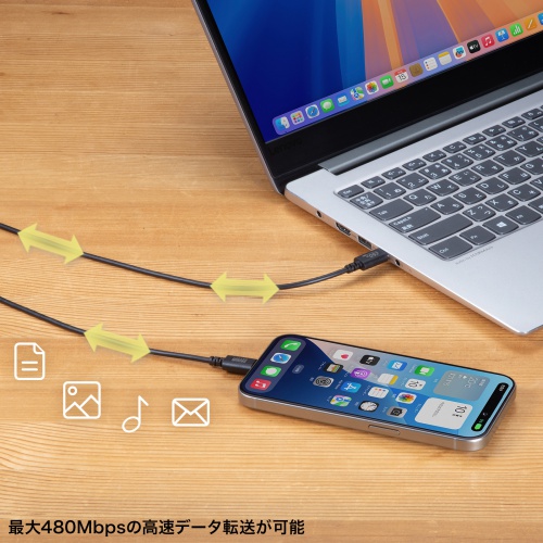 Type-Cケーブル（USB2.0・480Mbps・最大PD60W・USB-IF認証品・約0.5m・ブラック）