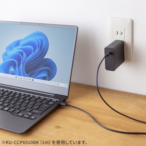 Type-Cケーブル（USB2.0・480Mbps・最大PD60W・USB-IF認証品・約0.5m・ブラック）