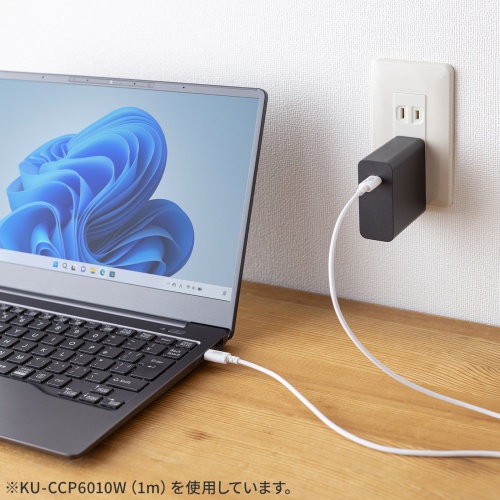 Type-Cケーブル（USB2.0・480Mbps・最大PD60W・USB-IF認証品・約0.5m・ホワイト）