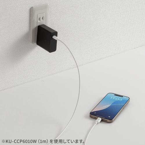 Type-Cケーブル（USB2.0・480Mbps・最大PD60W・USB-IF認証品・約0.5m・ホワイト）