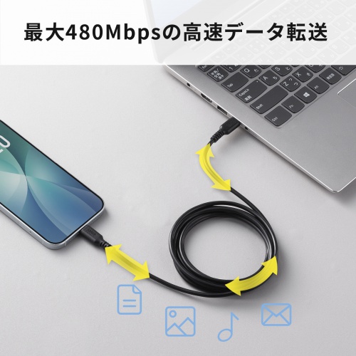 USB 2.0 Type-Cケーブル（C-C・ストレート・60W・2m）