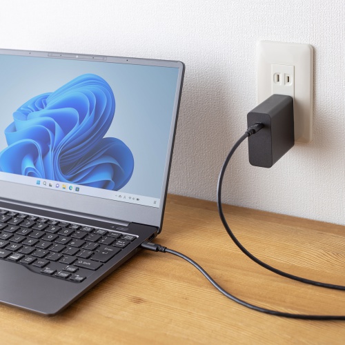 Type-Cケーブル（USB2.0・480Mbps・最大PD60W・USB-IF認証品・約3m・ブラック）