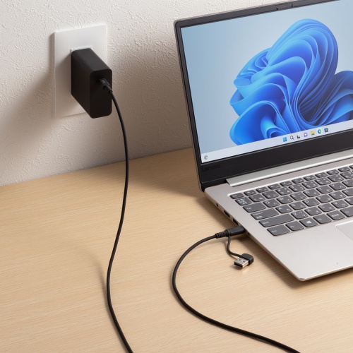 USB Type-Cケーブル（USB A変換・2in1・PD60W・シリコンケーブル・USB2.0対応・480Mbps・1m・ブラック）