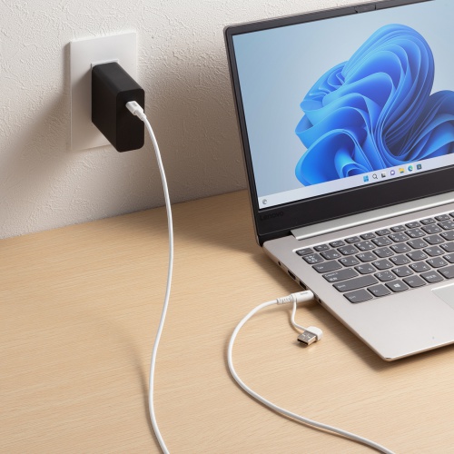 USB Type-Cケーブル（USB A変換・2in1・PD60W・シリコンケーブル・USB2.0対応・480Mbps・1m・ホワイト）