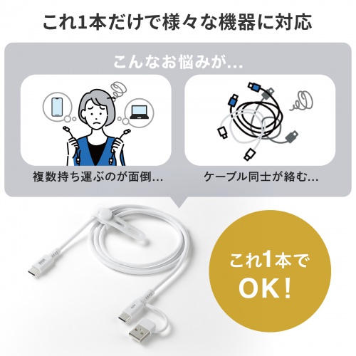 USB Type-Cケーブル（USB A変換・2in1・PD60W・シリコンケーブル・USB2.0対応・480Mbps・1m・ホワイト）