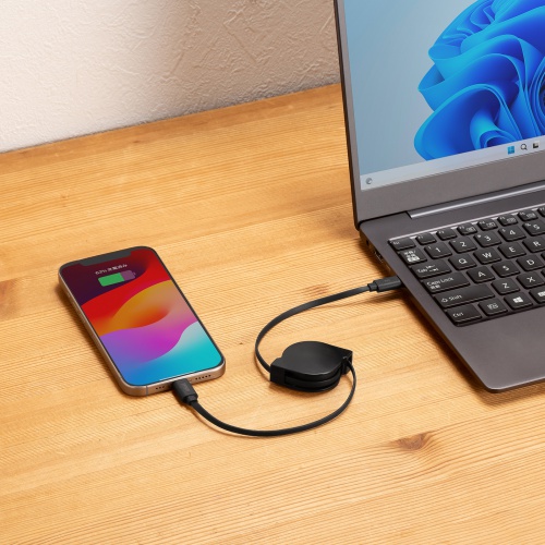 【アウトレット】タイプCケーブル（巻き取り式・PD60W・CtoC・充電・データ転送・パソコン・スマホ・Nintendo Switch・iPad Pro M4・iPad Air M2）