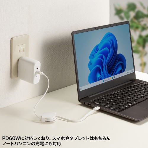 タイプCケーブル（巻き取り式・PD60W・CtoC・充電・データ転送・パソコン・スマホ・Nintendo Switch・iPad Pro M4・iPad Air M2） KU-CCP60M08W