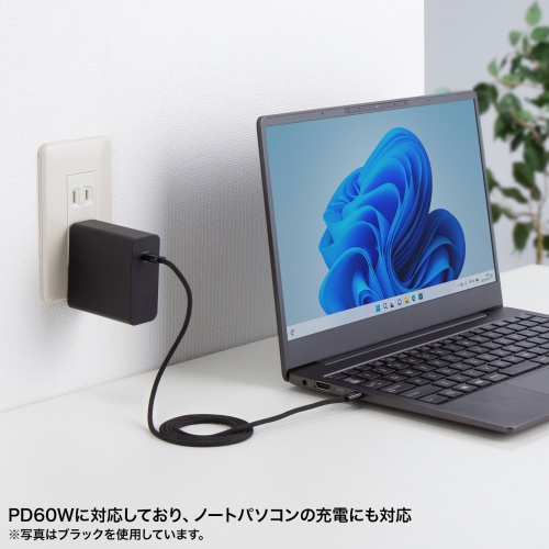タイプCケーブル（PD60W・シリコンメッシュ・しなやか・CtoC・充電・データ転送・スマホ・タブレット・1m・iPad Pro M4・iPad Air M2） KU-CCP60SM10W