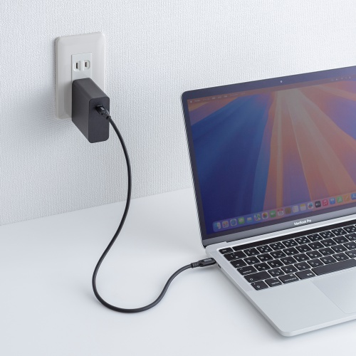 Type-Cケーブル（シリコンケーブル・PD240W・USB2.0・最大480Mbps・約0.5m・ブラック）