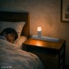 人感センサー付きLEDライト（足元灯・ナイトライト・停電時自動点灯ライト・自動消灯・手持ちライト・小型・充電式・直挿し・AC電源・プラグ回転・屋内用）