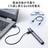 レーザーポインター（緑・USB充電式・PSC認証・グリーンレーザー・Type-C・ストラップホール・スリム・グレー）