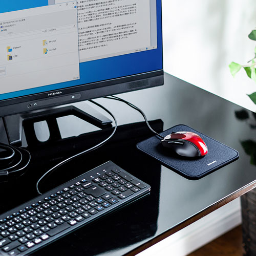 マウス（静音・有線・ブルーLED・5ボタン・中型・レッド）