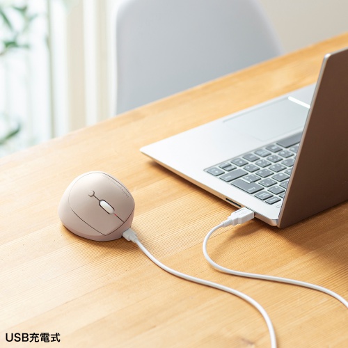 ワイヤレスマウス（Bluetooth・小型・エルゴノミクス・静音・5ボタン・戻る/進むボタン搭載・DPI切替・マルチペアリング・3台・ブルーLED・FREEROシリーズ・ベージュ）