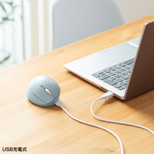 ワイヤレスマウス（Bluetooth・小型・エルゴノミクス・静音・5ボタン・戻る/進むボタン搭載・DPI切替・マルチペアリング・3台・ブルーLED・FREEROシリーズ・ブルー）