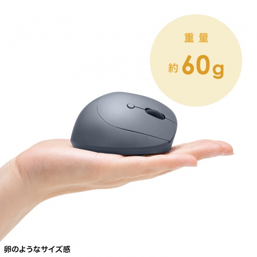 ワイヤレスマウス（2.4GHz・小型・エルゴノミクス・静音・5ボタン・戻る/進むボタン搭載・DPI切替・ブルーLED・FREEROシリーズ・ブラック）