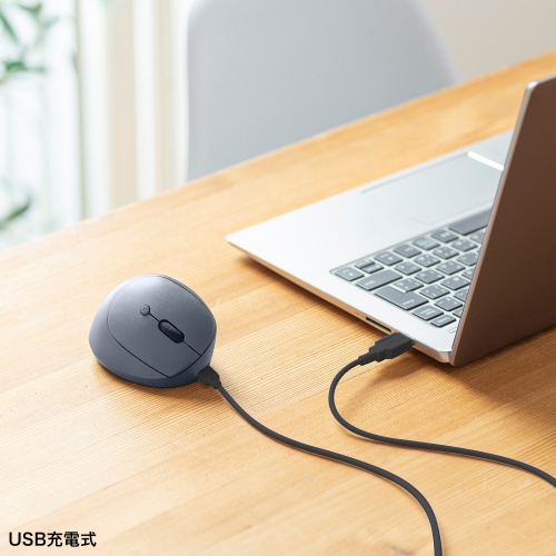 ワイヤレスマウス（2.4GHz・小型・エルゴノミクス・静音・5ボタン・戻る/進むボタン搭載・DPI切替・ブルーLED・FREEROシリーズ・ブラック）