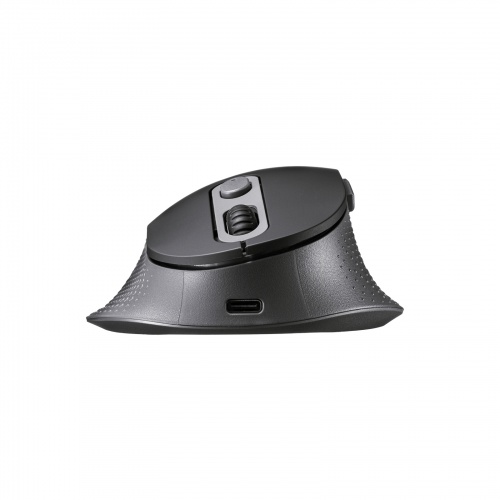 エルゴノミクスマウス（USB Aワイヤレス・5ボタン・静音・USB-C急速充電・低め・腱鞘炎防止・エルゴ・ブラック）