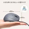 有線マウス（USB・小型・エルゴノミクス・静音・5ボタン・戻る/進むボタン搭載・Win/Mac対応・DPI切替・ブルーLED・FREEROシリーズ・ブラック）