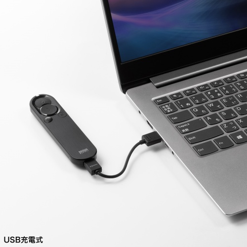 レーザーポインター（緑・グリーンレーザー・充電式・プレゼンテーション・ソフトウェアポインター・ジャイロ・3台同時カーソル操作・ポーチ付き）