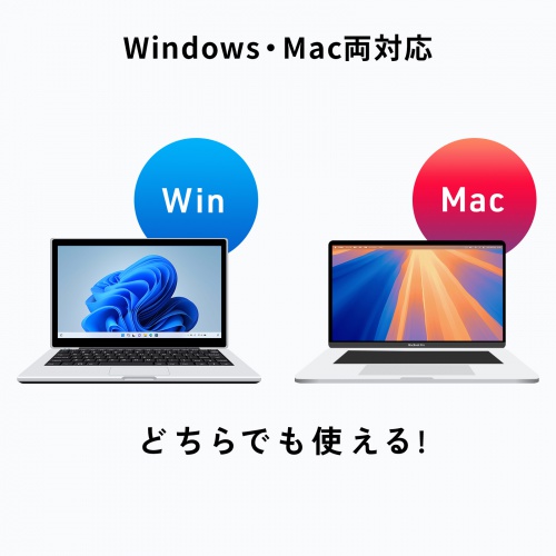 レーザーポインター（緑・グリーンレーザー・プレゼンテーション・マウス操作対応・タイマー機能付き）