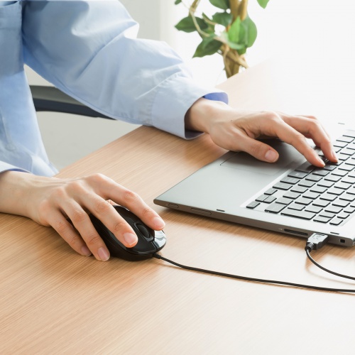 抗菌 有線マウス（静音・USBマウス・ブルーLED・3ボタン・USB A接続・ブラック）MA-YBSK315BK