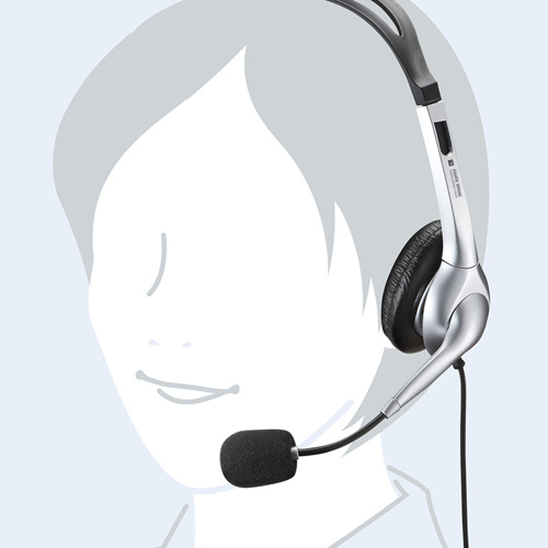 【アウトレット･訳あり・セール】PCヘッドセット（マルチメディア・ノイズキャンセルマイクタイプ・ダイナミック型・40mm） MM-HS507NCN サンワサプライ