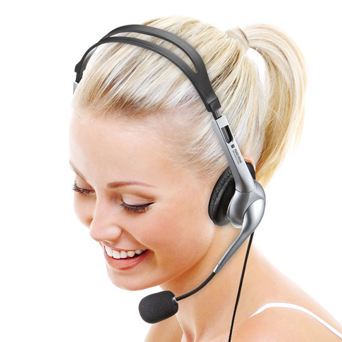 【アウトレット･訳あり・セール】PCヘッドセット（マルチメディア・ノイズキャンセルマイクタイプ・ダイナミック型・40mm） MM-HS507NCN サンワサプライ