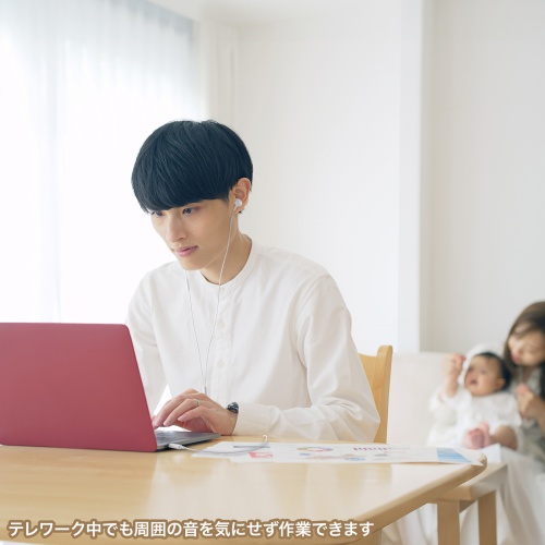 USB Type-Cイヤホンマイク（カナル型・マイク付きリモコン・スマホ・タブレット・ゲーム機・パソコン・ケーブル長約1.2m・ホワイト）