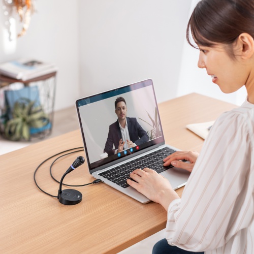 USBスタンドマイク（Type-C接続・単一指向性・マイクミュート・ケーブル長1.6m・ミーティング・Zoom・Teams）