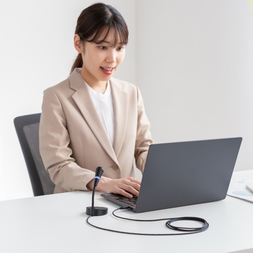 USBスタンドマイク（Type-C接続・単一指向性・マイクミュート・ケーブル長1.6m・ミーティング・Zoom・Teams）