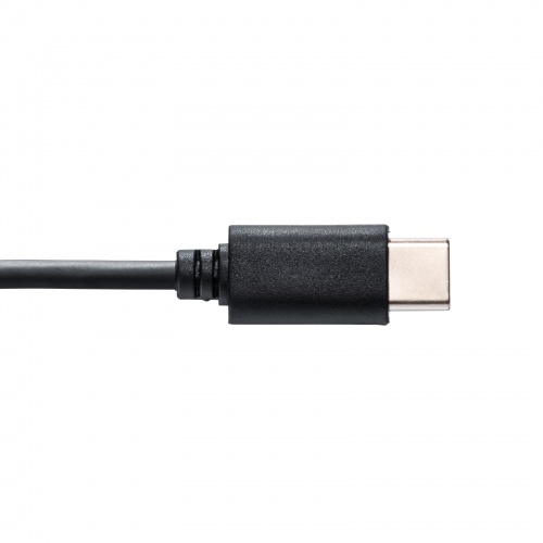 USBスタンドマイク（Type-C接続・単一指向性・マイクミュート・ケーブル長1.6m・ミーティング・Zoom・Teams）