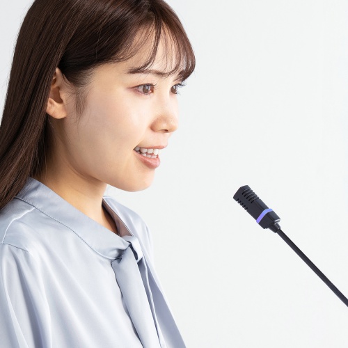 USBスタンドマイク（Type-C/USB A両対応・DSPノイズキャンセリング・ミュート機能・ステレオミニプラグポート搭載・Windows Mac Zoom・録音・文字起こし）