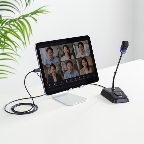 USBスタンドマイク（Type-C/USB A両対応・DSPノイズキャンセリング・ミュート機能・ステレオミニプラグポート搭載・Windows Mac Zoom・録音・文字起こし）