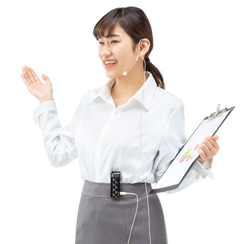 ワイヤレスマイクシステム（2台セット）