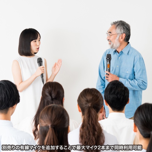 拡声器（スピーカー・小型・ワイヤレスマイク付き・選挙・イベント・講演・おすすめ）MM-SPAMP17 サンワサプライ